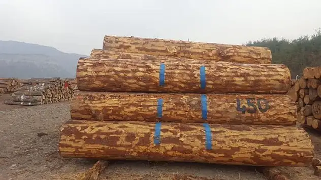 E-Satış yöntemiyle orman emvali satıldı