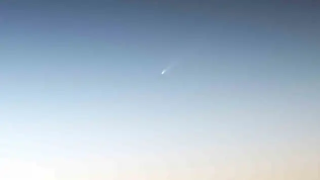 80 bin yılda bir görülüyor