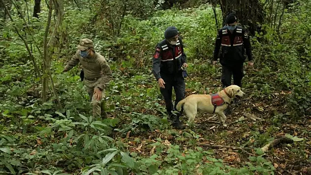 Alzheimer hastası kayıp kadından bir aydır haber alınamıyor