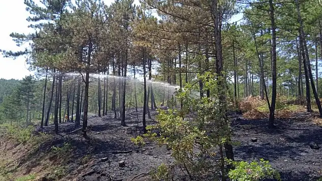 Araç'ta çıkan yangında 3 dekar alan zarar gördü