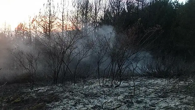 Araç'taki orman yangınında soğutma çalışmaları tamamlandı