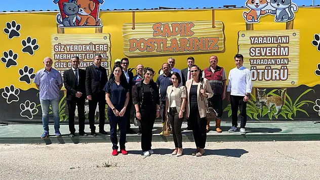 Artan yemekler sokak hayvanlarına verilecek