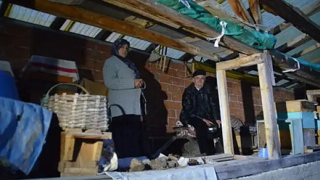 Ayılar Köye İndi Köylüler Nöbete Başladı