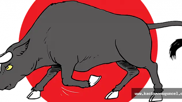 Azgın boğa sahibini öldürdü