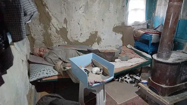 Bir lokma ekmeğini 36 kedi ile paylaşıyor