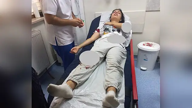 Başı boş köpekler tehlike saçıyor