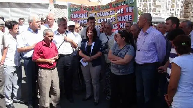 BDP'den Gergin Anadil Yürüyüşü 