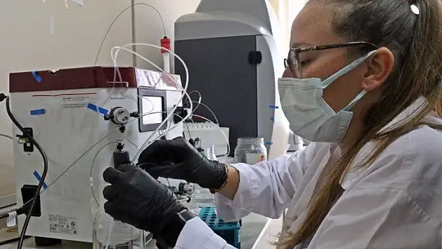 'Kokteyl aşı' geliyor! İnsan deneyine hazır hale geldi