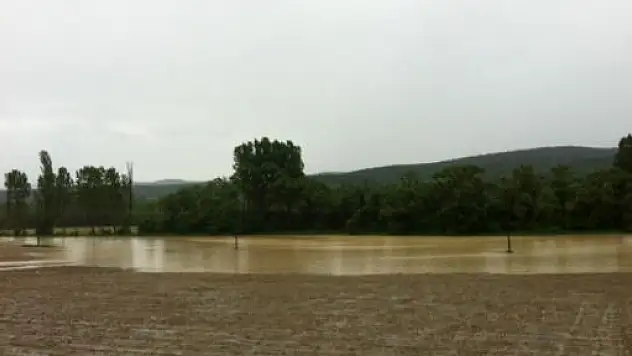 Daday'da Selin Bilançosu Netleşiyor