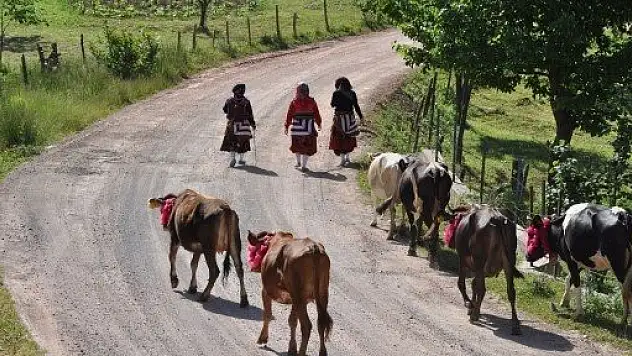 Doğu Karadeniz'de yayla göçleri başladı
