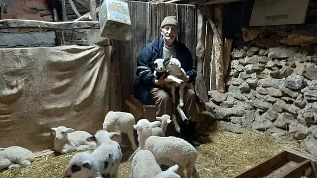 Eski hükümlü İŞKUR desteğiyle küçükbaş hayvancılığa başladı