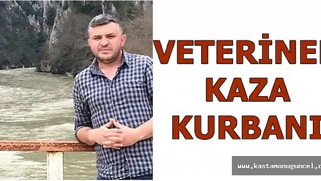 Genç Veteriner Kazada Öldü