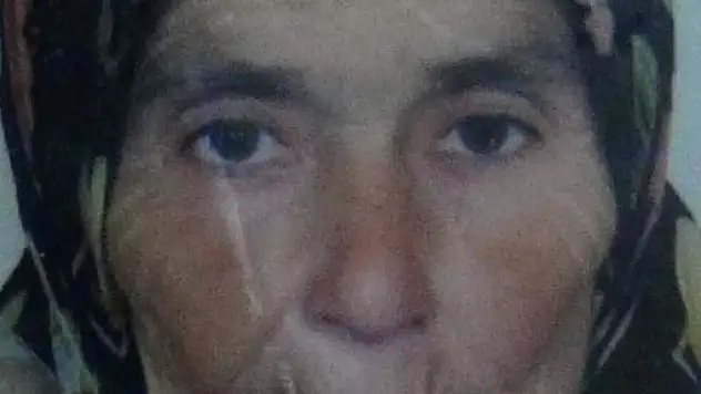 Halk Otobüsünün Çarptığı Yaşlı Kadın Öldü