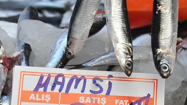 Hamsinin fiyatı cep yakıyor