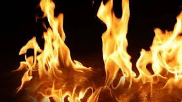 Şenpazar'da iki katlı iki ahşan bina yandı