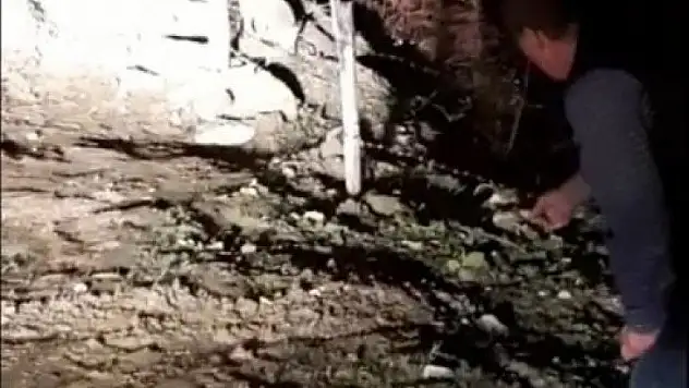 Evinin bahçesine gelen tilkiyi elleriyle besliyor