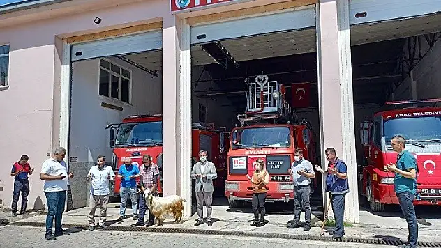 Hizmet araçları için kurban kesildi