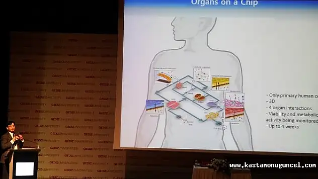 İnsan Hücresinden Çip Ürettiler