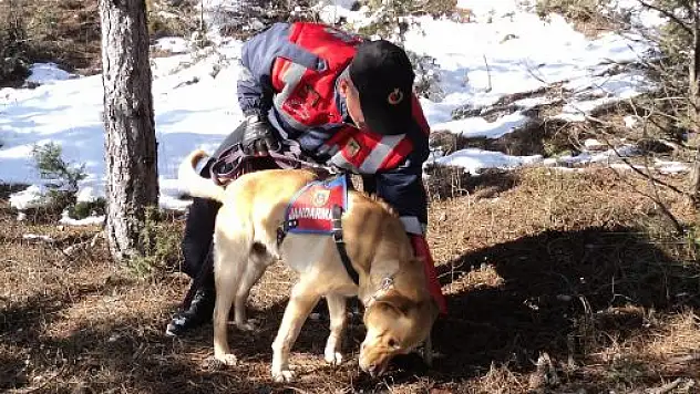 Jandarma, Kaybolan Yaşlı Adamı Buldu