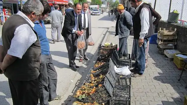 Kanlıca Mantarı 15 TL'den satılıyor