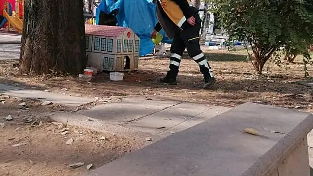 Belediye ekipleri, 102 besleme noktasına mama bıraktı