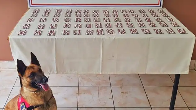 İnebolu'da 996 adet uyuşturucu hap ele geçirildi