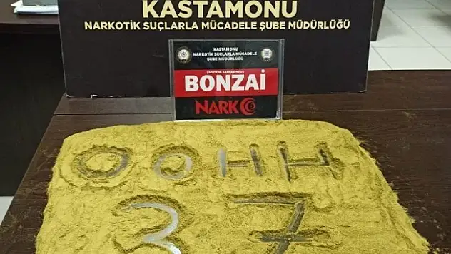 Kastamonu'da bonzai maddesi ele geçirildi