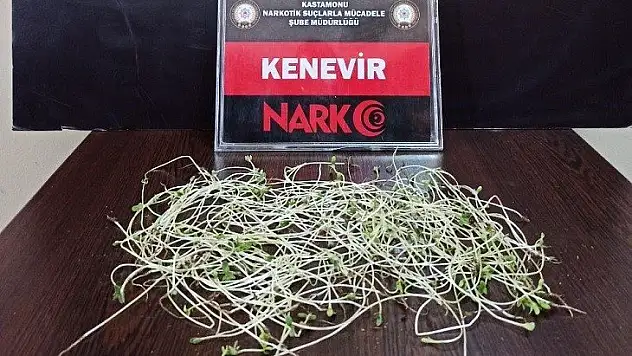 Kastamonu'da uyuşturucu operasyonu: 4 gözaltı