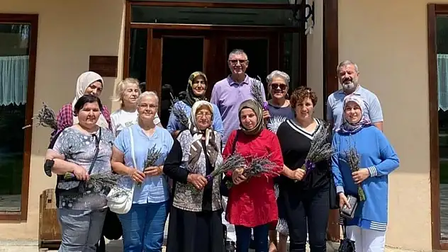 Daday köyleri lavanta kokacak