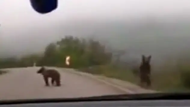 Kastamonu'da efsane söz gerçek oldu