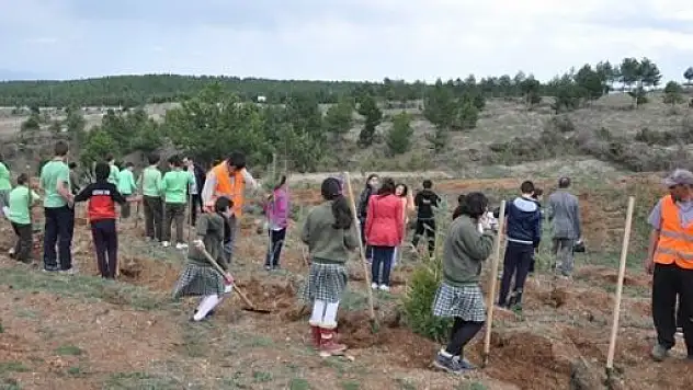 Kastamonu'da Öğrenciler, Fidan Dikti