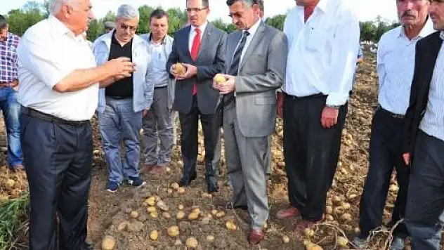 Kastamonu'da Patates Tarla Günü Düzenlendi 