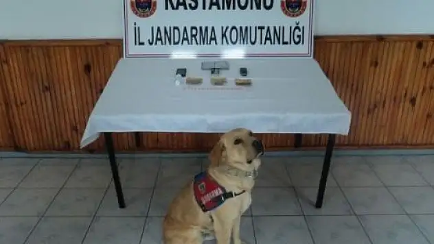 Kastamonu'da Uyuşturucu Operasyonu 
