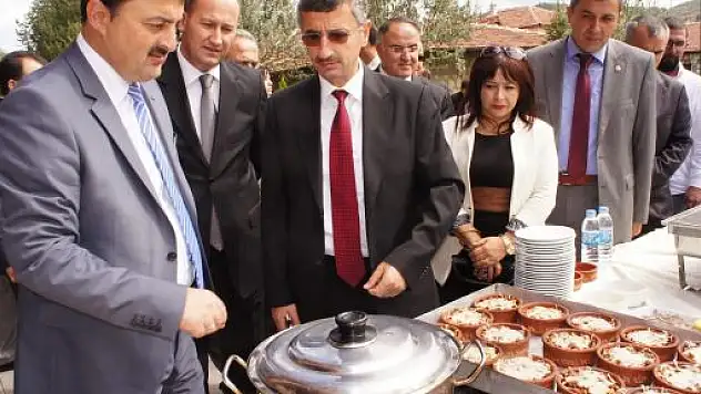 Kayın Mantarı Ekonomiye Kazandırılacak