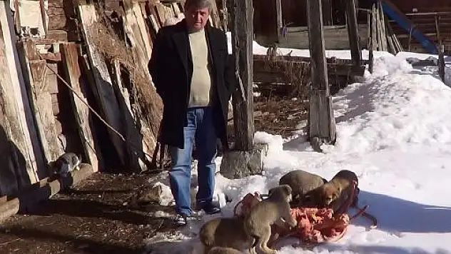 Kedi ve Köpekleri İçin Her Gün 8 Km. Yol Kat Ediyor