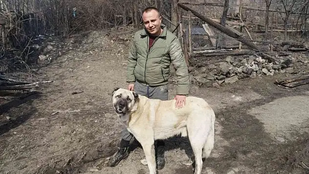 Hayatlarını kurtaran köpeği gözyaşları içinde sevdiler