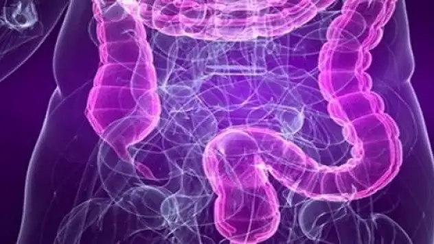 KETEM'de Bağırsak Kanseri Taraması Başladı