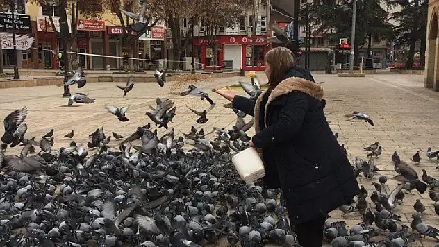 Kısıtlamada tarihi meydandaki kuşlar unutulmadı