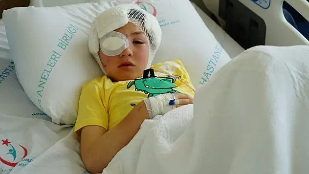 Köpeğin saldırısına uğrayan çocuk ölümden döndü