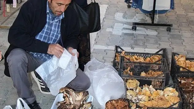 Mantar Satan Aile Zehirlendi