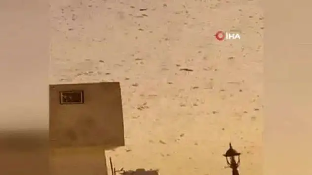 Mekke'yi çekirge sürüleri bastı