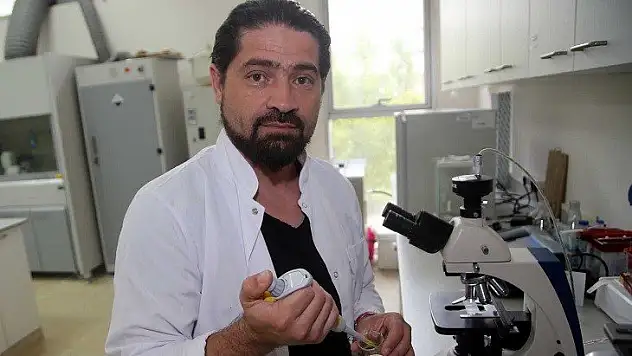 Müsilajda 'midyeler biyofiltre olarak kullanılabilir' önerisi