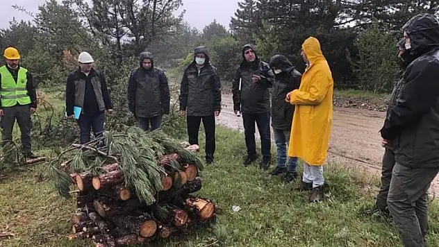Orman muhafaza memurlarına zararlılarla mücadele eğitimi