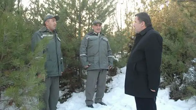 Orman timleri çam nöbetinde