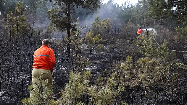 Ormanlık alandaki yangın söndürüldü