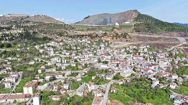 Ayılar vatandaşları tedirgin ediyor