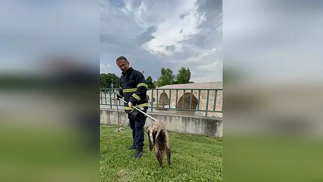 Porsuğu itfaiye ekipleri kurtardı