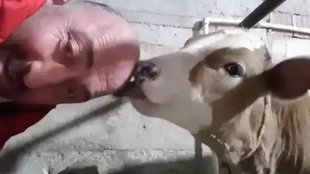 Saçı olmayan Karadenizlinin ilginç çözümü