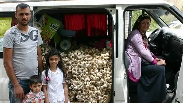 Şehir şehir dolaşıp sarımsak satıyorlar