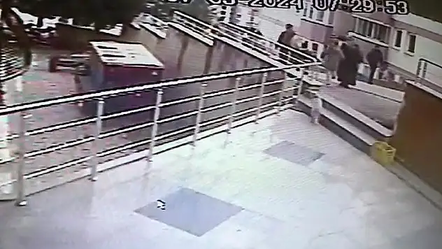 Komşu ilde kedilere çarpan sürücülere para cezası!